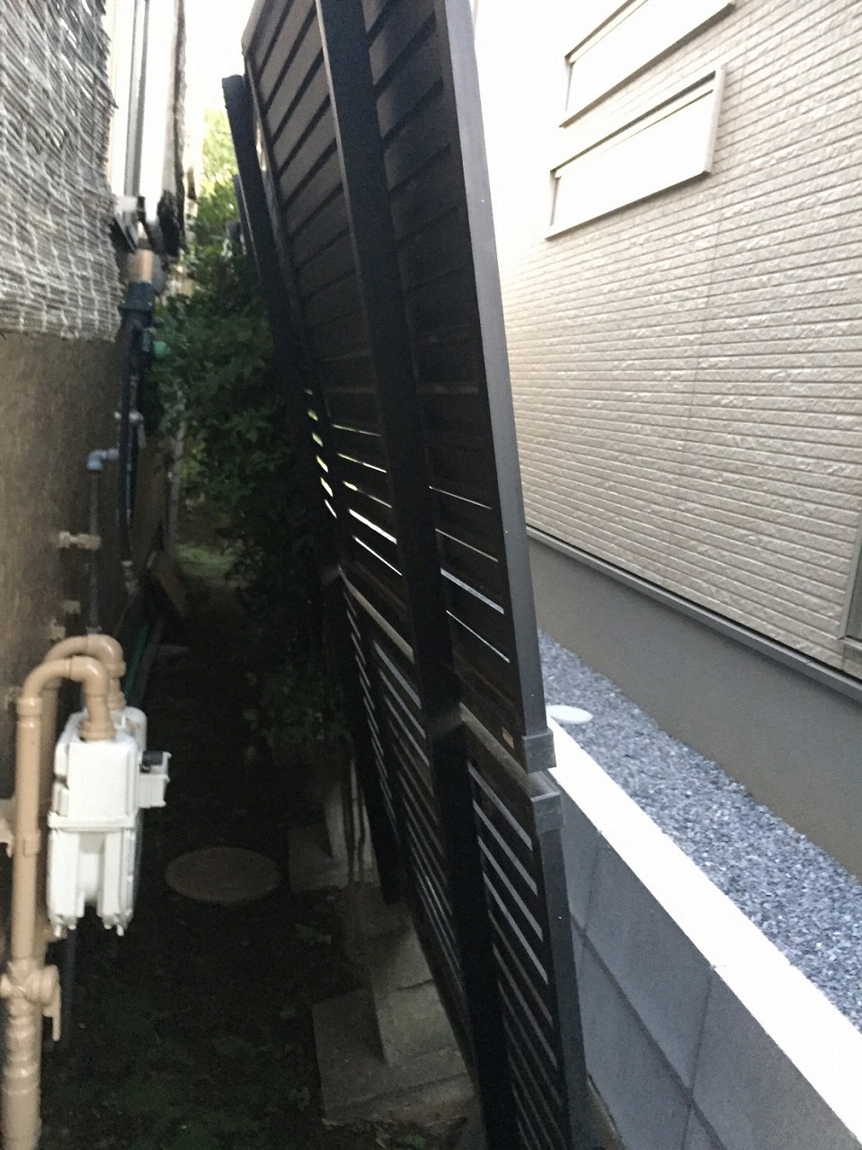 S__5193797.jpg
